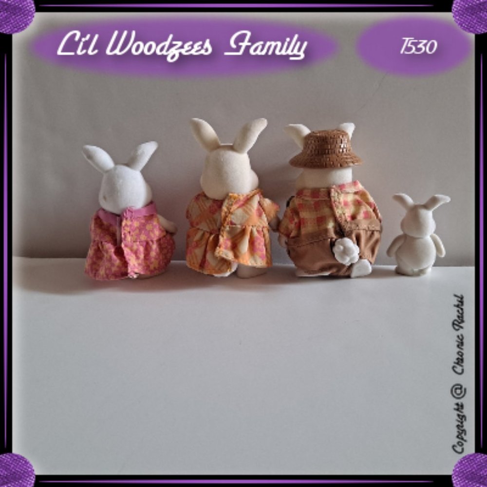 Hoppingood Rabbit Family - Picture 2 of 4